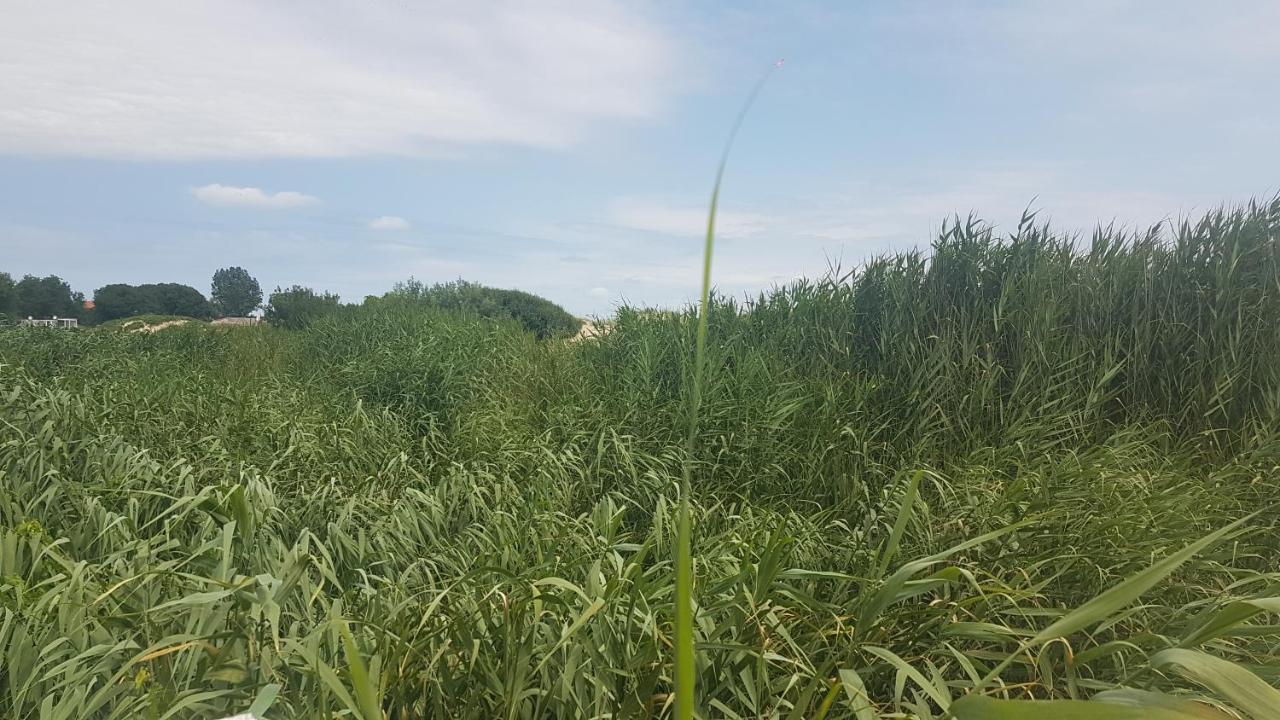 Студио Морски Бряг-Лозенец Exterior photo